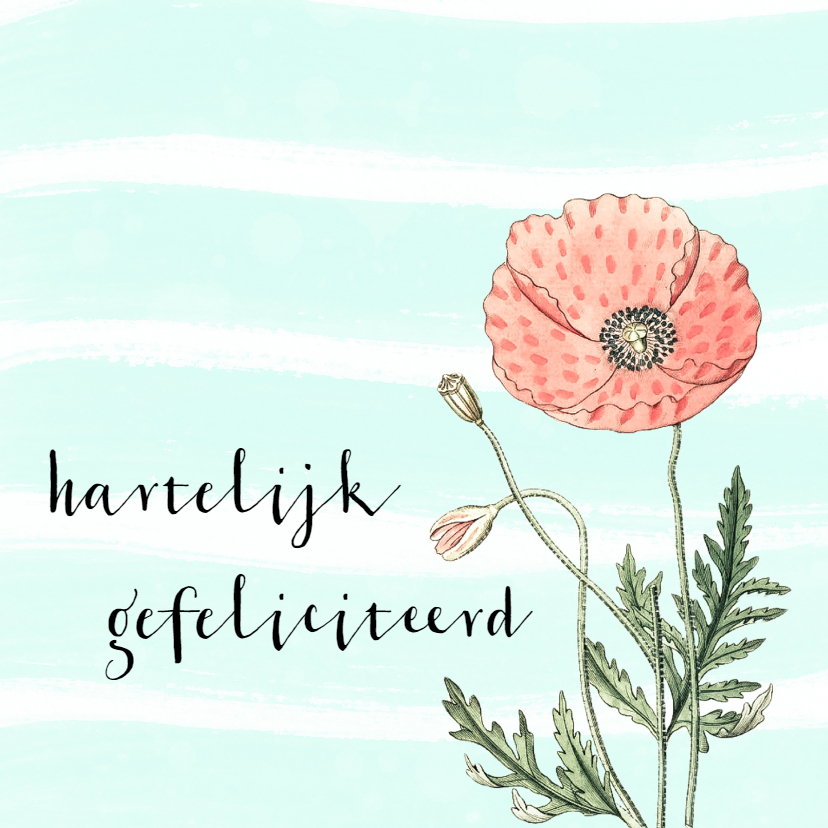 Verjaardagskaart Vintage Klaproos - Verjaardagskaarten Verjaardagskaarten - Verjaardagskaart Vintage Klaproos