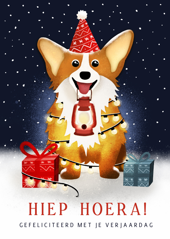 Verjaardagskaarten - Verjaardagskaart winter met corgi hond met lampjes in sneeuw