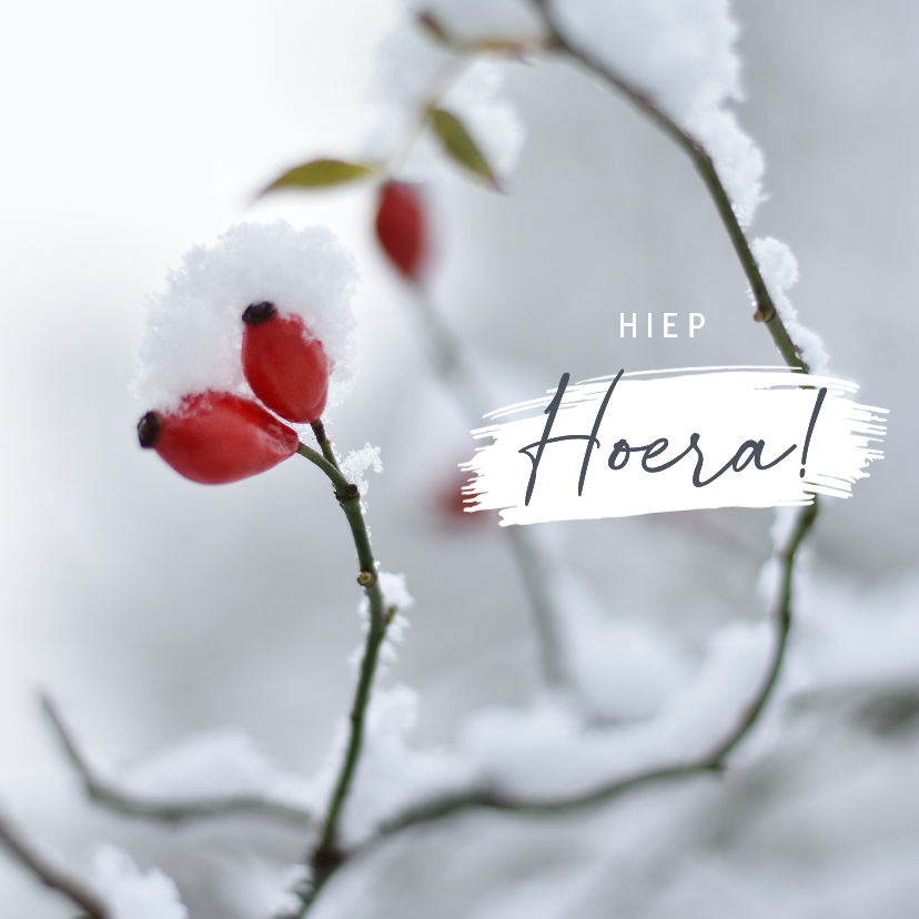 Verjaardagskaarten - Verjaardagskaart winter met rozenbottel in de sneeuw