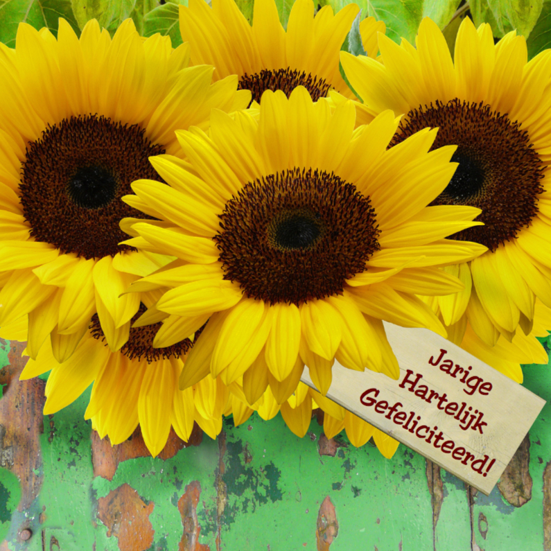 Verjaardagskaart Zonnebloemen met hout en felicitatie - Verjaardagskaarten Verjaardagskaarten - Verjaardagskaart Zonnebloemen met hout en felicitatie