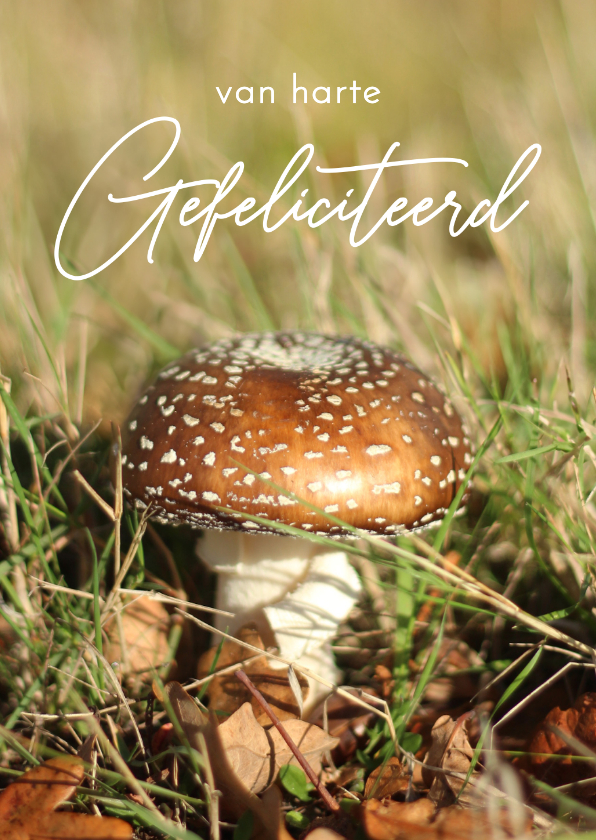 Verjaardagskaartje paddestoel herfst van harte gefeliciteerd - Verjaardagskaarten Verjaardagskaarten - Verjaardagskaartje paddestoel herfst van harte gefeliciteerd