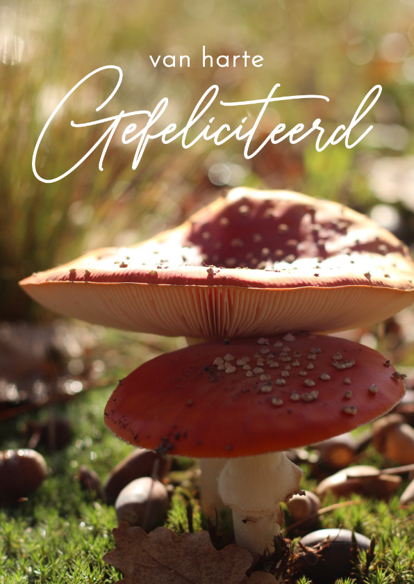 Verjaardagskaartje twee paddestoelen herfst foto - Verjaardagskaarten Verjaardagskaarten - Verjaardagskaartje twee paddestoelen herfst foto