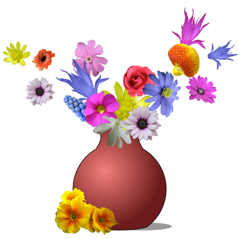 Vliegende bloemen uit vaas - Verjaardagskaarten Verjaardagskaarten - Vliegende bloemen uit vaas