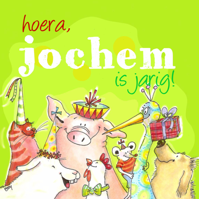 voor de jarige job - Verjaardagskaarten Verjaardagskaarten - voor de jarige job