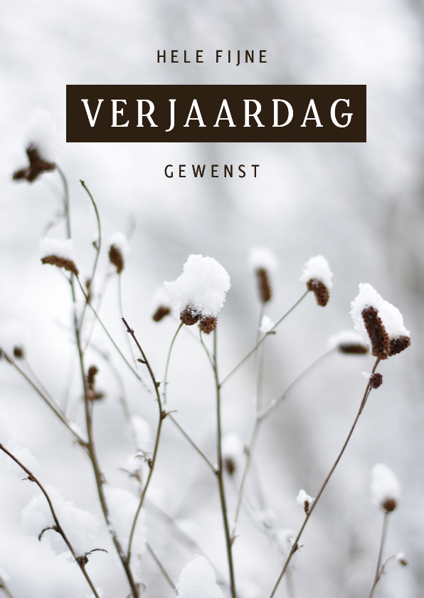 Winterse verjaardagskaart natuur foto met sneeuw - Verjaardagskaarten Verjaardagskaarten - Winterse verjaardagskaart natuur foto met sneeuw