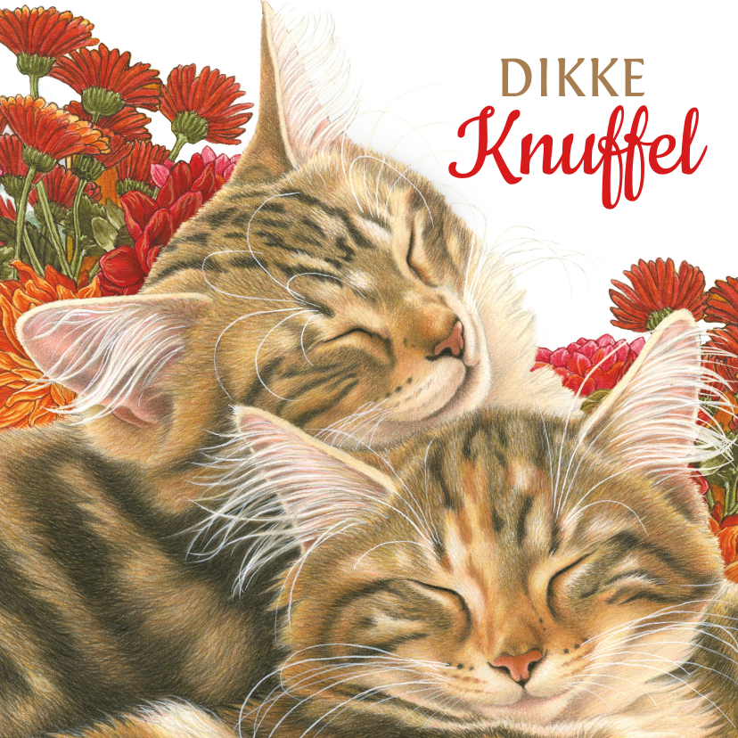 Vriendschap kaarten - Dikke Knuffel kaart met katten en bloemen