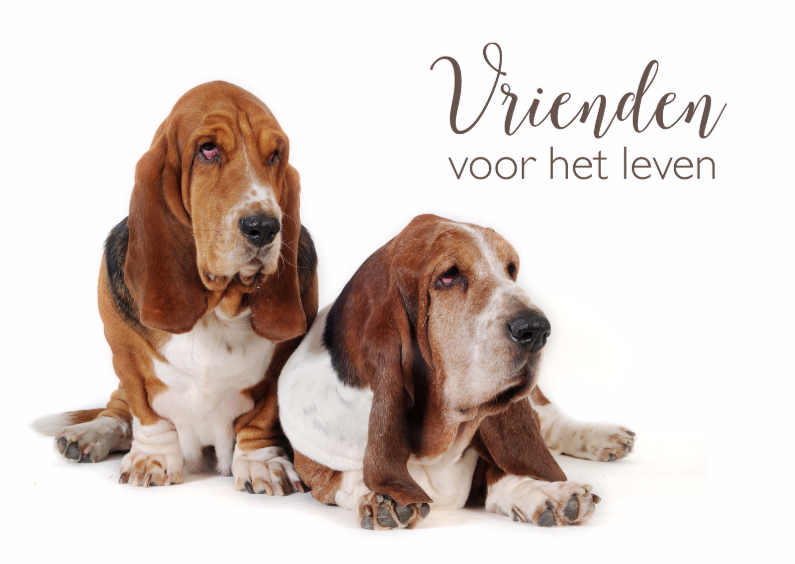 Vrienden voor het leven-isf - Vriendschap kaarten Vriendschap kaarten - Vrienden voor het leven-isf