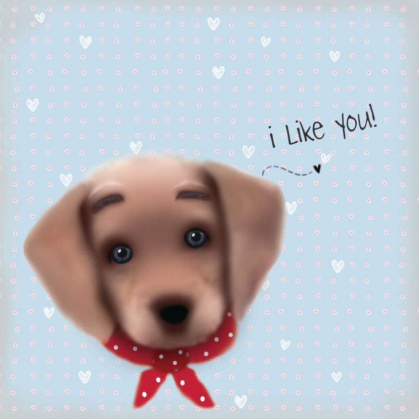 Vriendschap I like you -LT - Vriendschap kaarten Vriendschap kaarten - Vriendschap I like you -LT