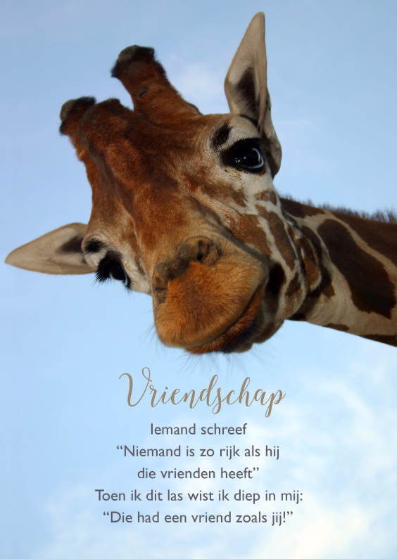 Vriendschap kaart giraf met gedicht - Vriendschap kaarten Vriendschap kaarten - Vriendschap kaart giraf met gedicht