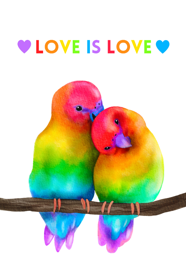 Vriendschap kaart Love is Love rainbow lovebirds - Vriendschap kaarten Vriendschap kaarten - Vriendschap kaart Love is Love rainbow lovebirds