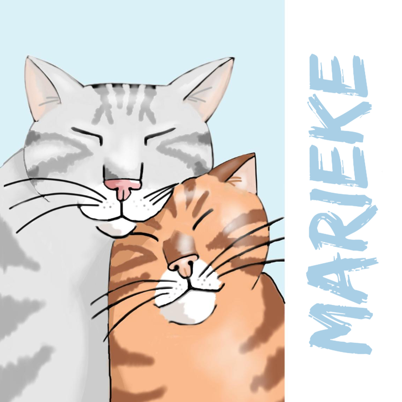 Vriendschap - twee katten voor jou - Vriendschap kaarten Vriendschap kaarten - Vriendschap - twee katten voor jou