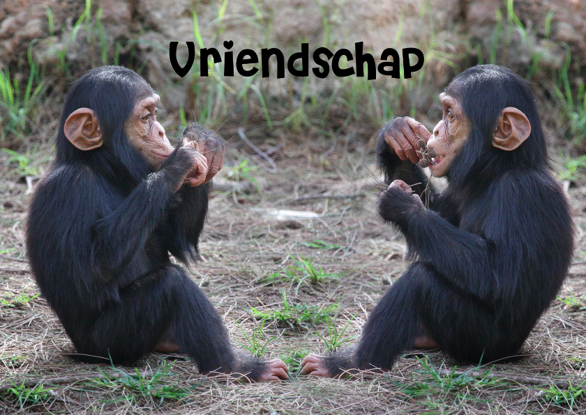 Vriendschapkaart - Vriendschap kaarten Vriendschap kaarten - Vriendschapkaart