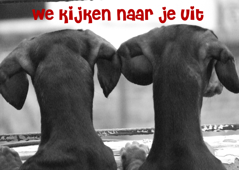 We kijken naar je uit - Vriendschap kaarten Vriendschap kaarten - We kijken naar je uit