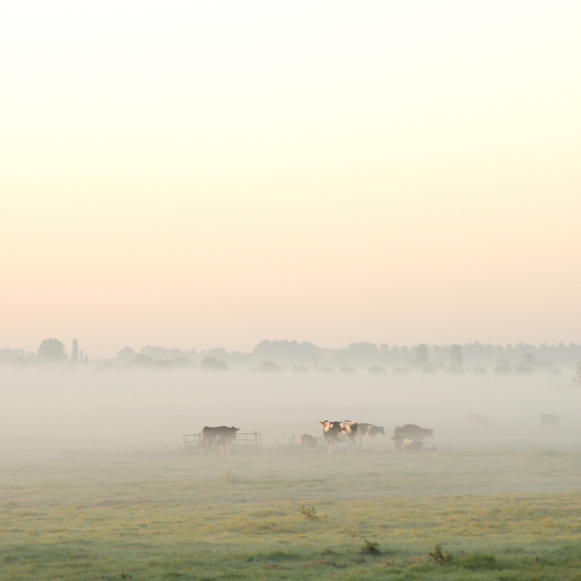 Wenskaarten - 4k Zonsopkomst met ochtendmist