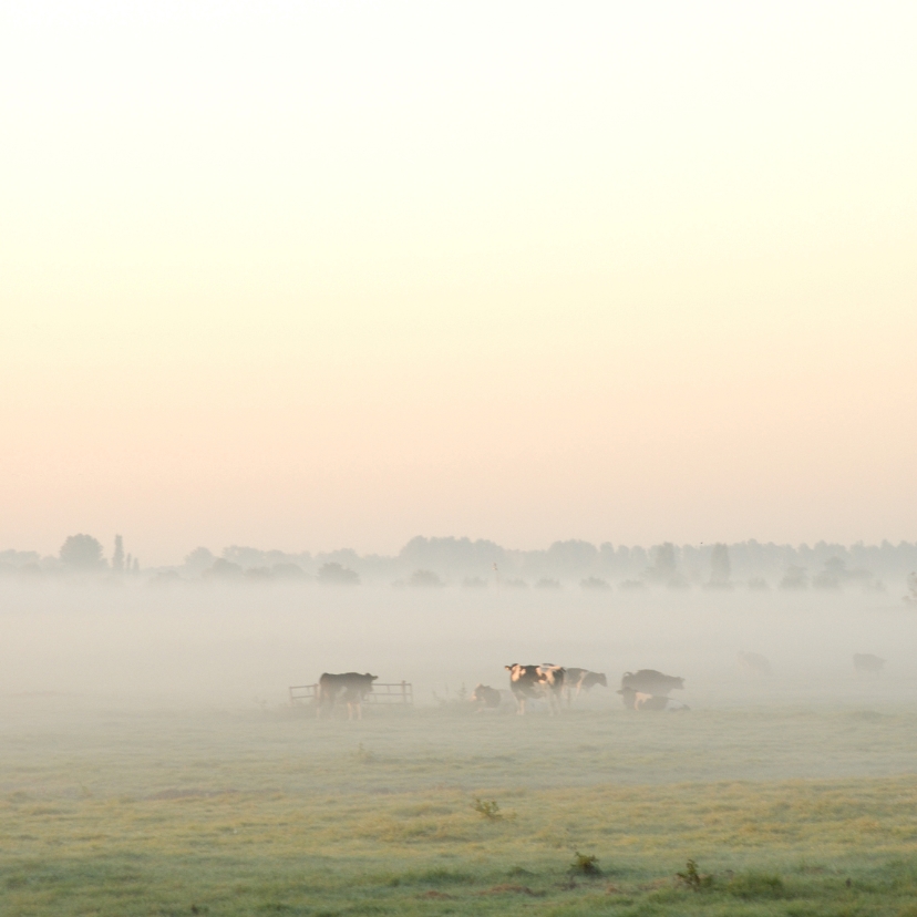 Wenskaarten - 4k Zonsopkomst met ochtendmist