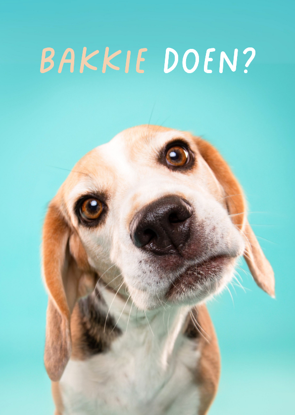 Afspreken verzoek kaart van hond met schuin koppie - Wenskaarten Wenskaarten - Afspreken verzoek kaart van hond met schuin koppie