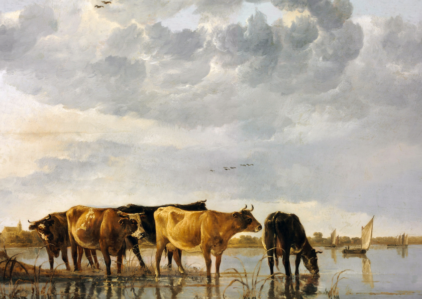 Albert Cuyp. Koeien in een rivier - Wenskaarten Wenskaarten - Albert Cuyp. Koeien in een rivier