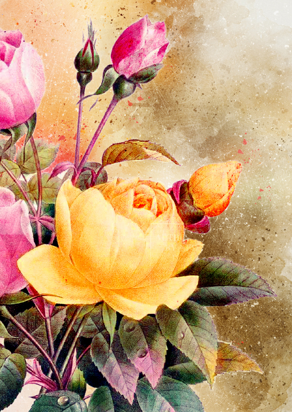 Wenskaarten - Bloemenkaart engelse rozen vintage