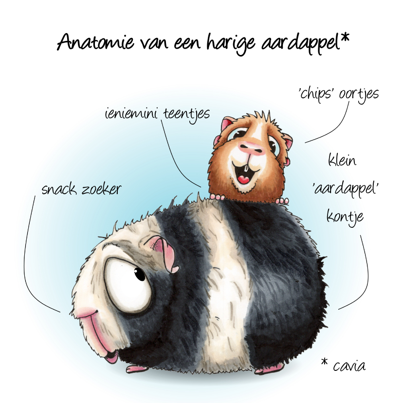 Wenskaarten - Dierenkaart Anatomie van een Cavia