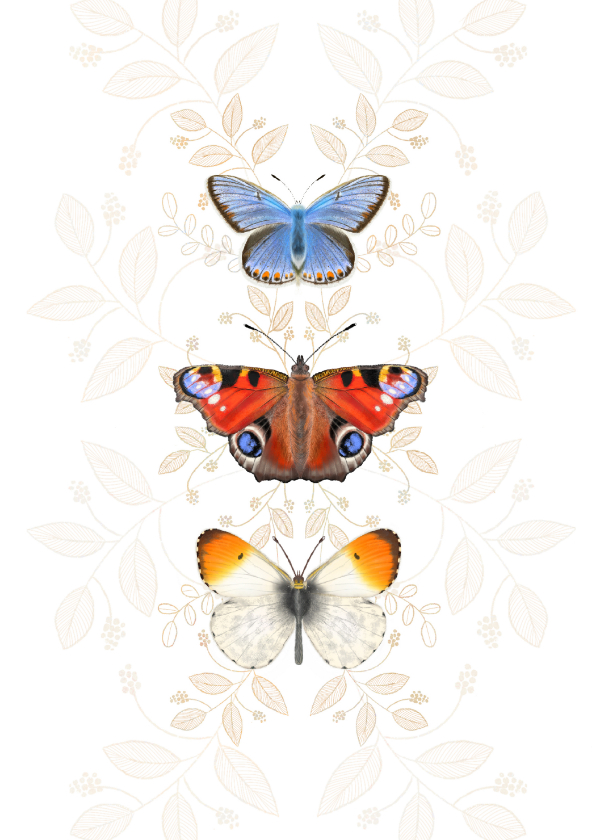 Wenskaarten - Dierenkaart vlinders botanisch