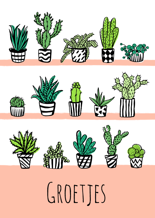 Wenskaarten - Fleurig kaartje cactus plantjes