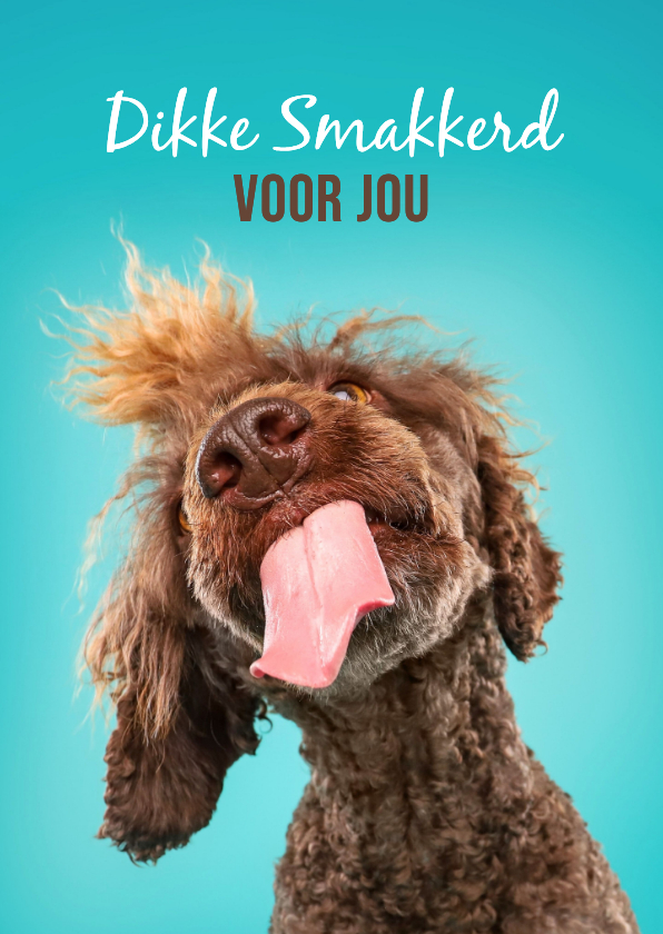 Wenskaarten - Grappige hondenkaart dikke smakkerd kus door de brievenbus