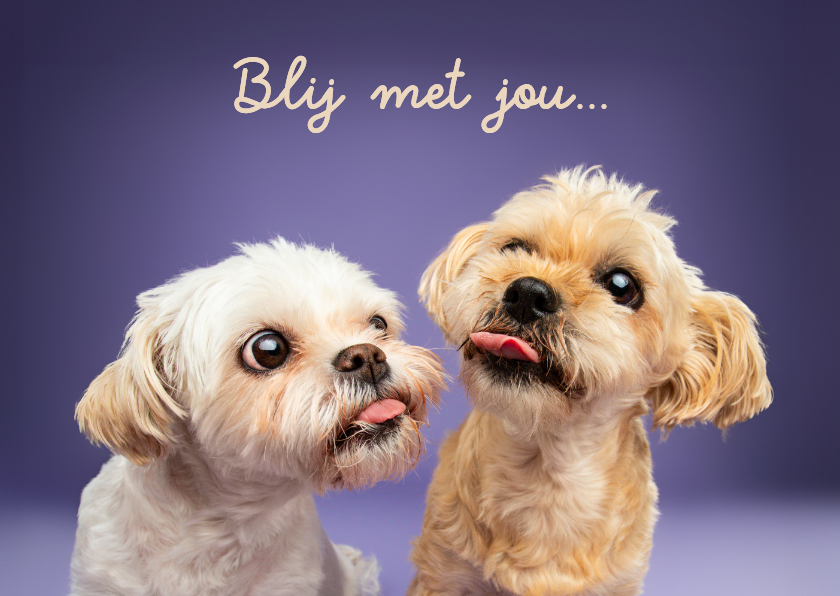 Wenskaarten - Grappige kaart met kussende hondjes