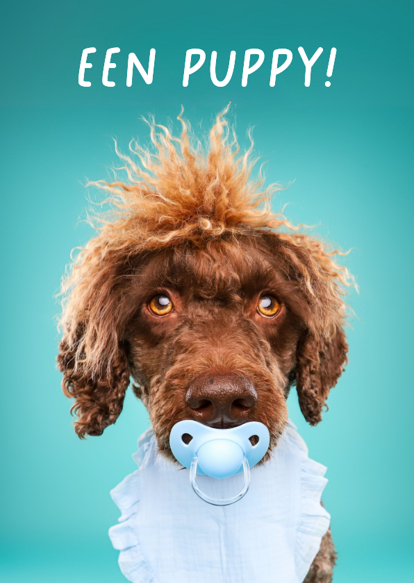 Grappige kaart voor het welkom heten van een puppy reutje - Wenskaarten Wenskaarten - Grappige kaart voor het welkom heten van een puppy reutje