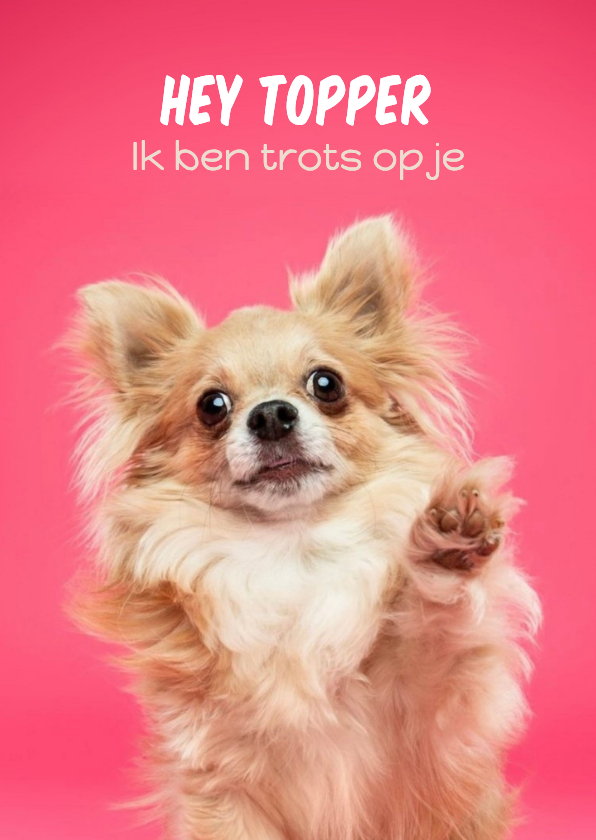Wenskaarten - Grappige wenskaart chihuahua trots