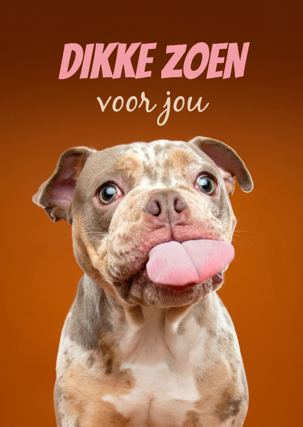 Wenskaarten - Grappige wenskaart van hond met tong, kus door de brievenbus