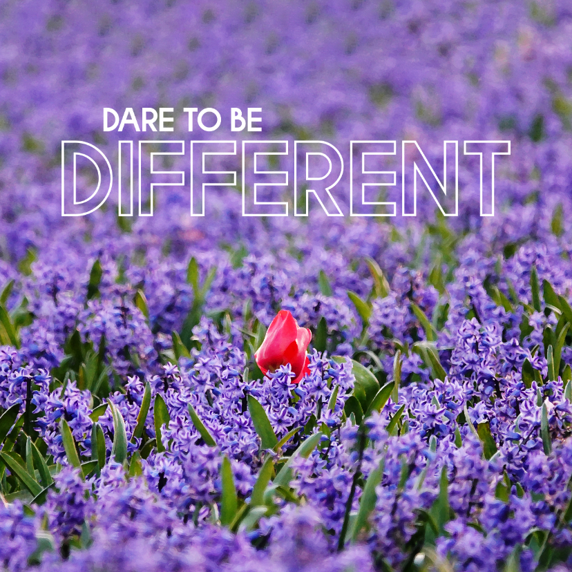Wenskaarten - Kaart dare to be different hyacinten en tulp eigen bedrijf