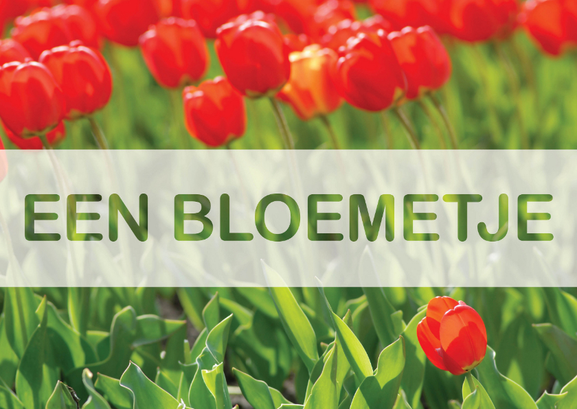 Wenskaarten - Kaart Een Bloemetje