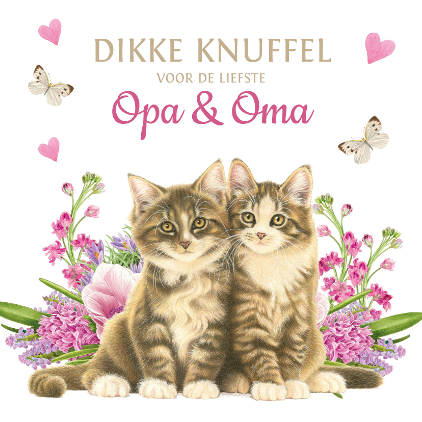 Wenskaarten - Kittens en bloemen dikke knuffel voor opa en oma