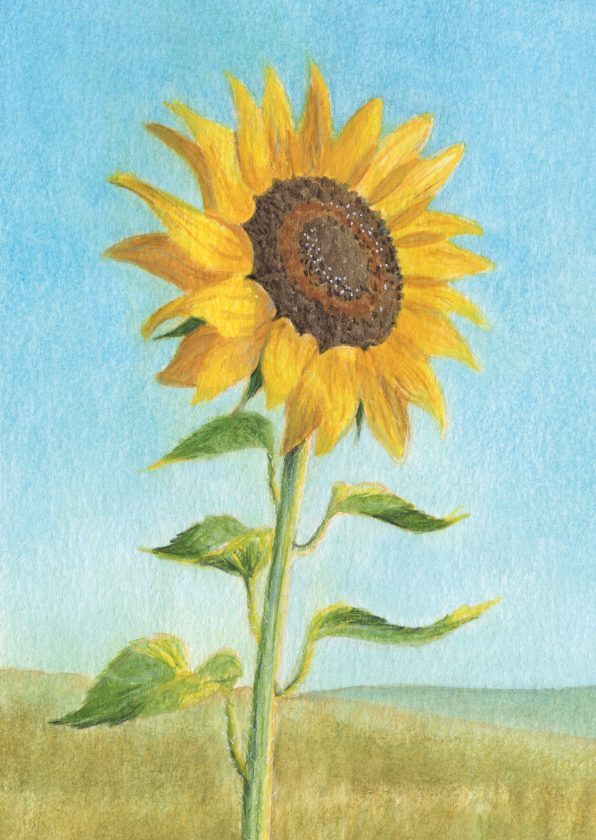 Wenskaarten - Kunstkaart met zonnebloem in aquarel