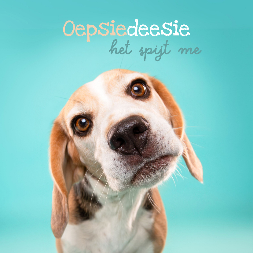 Wenskaarten - Lieve het spijt me kaart van hondje met schuin koppie