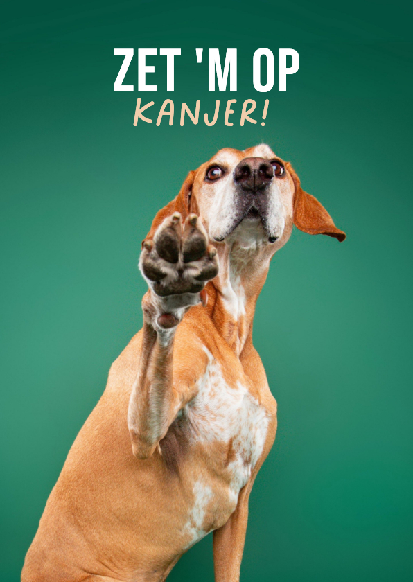 Lieve succes zet 'm op kaart van hond met pootje - Wenskaarten Wenskaarten - Lieve succes zet 'm op kaart van hond met pootje