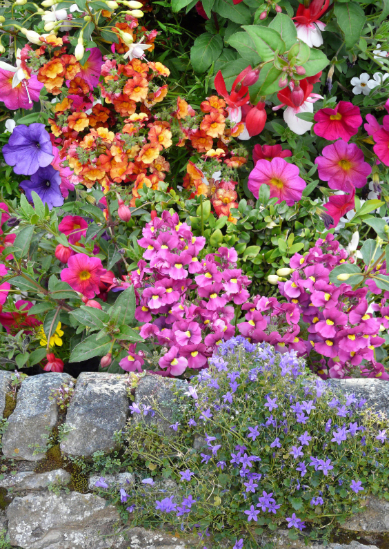 Wenskaarten - Mooie bloemenkaart bij Engels muurtje