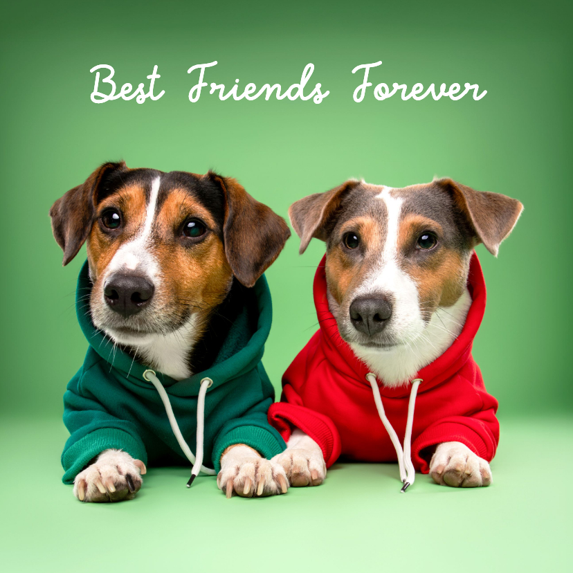 Schattige vriendschapskaart voor beste vriend van 2 hondjes - Wenskaarten Wenskaarten - Schattige vriendschapskaart voor beste vriend van 2 hondjes