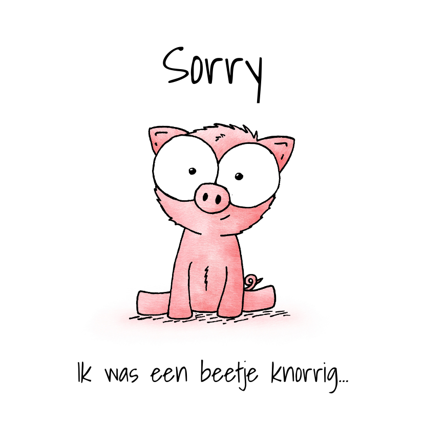 Wenskaarten - Sorry kaart schattig biggetje - Ik was een beetje knorrig