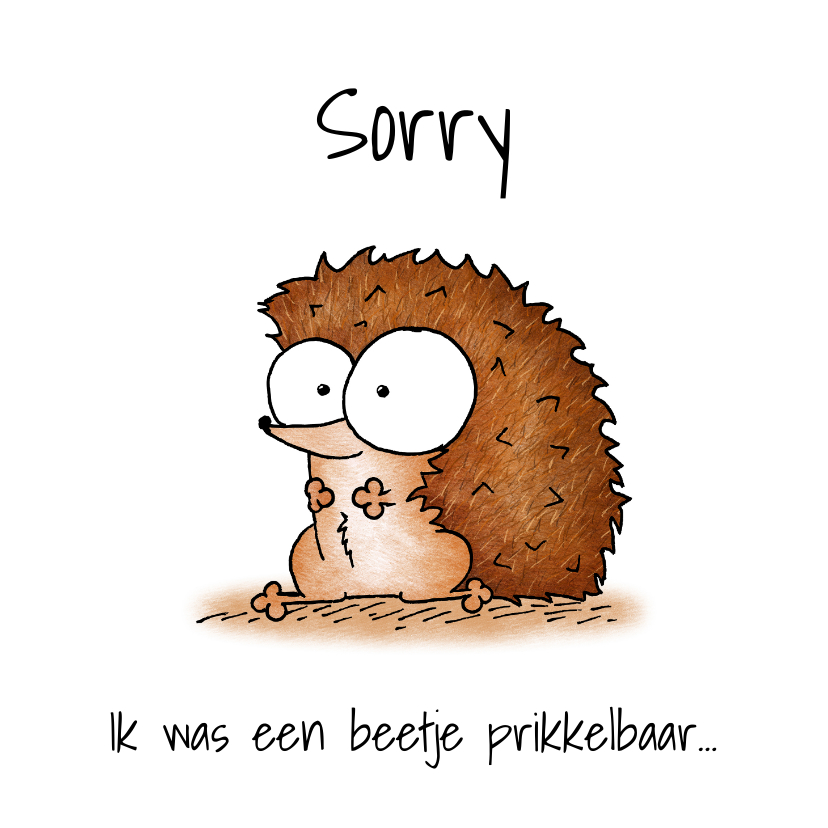 Wenskaarten - Sorry kaart schattig egeltje - Ik was een beetje prikkelbaar