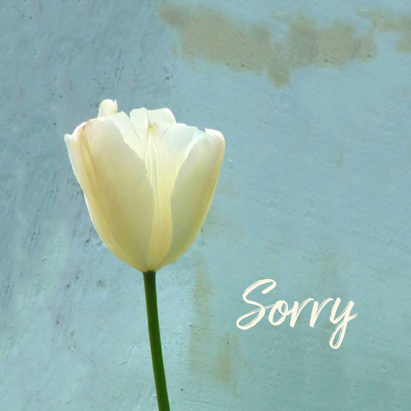 Wenskaarten - Sorry tulp - vergeving