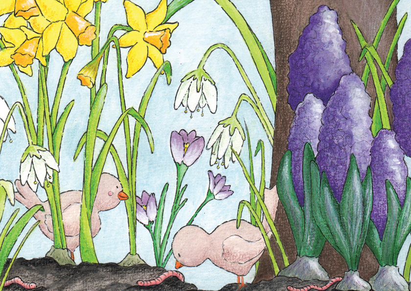 Wenskaarten - Vogeltjes in maart