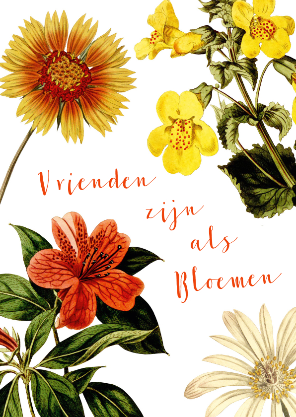 Wenskaarten - Vrienden zijn als bloemen