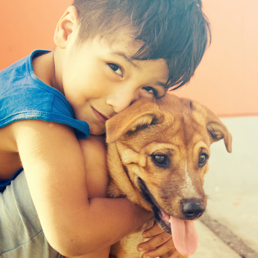 Vriendschapskaart met een jongen die zijn hond knuffelt - Wenskaarten Wenskaarten - Vriendschapskaart met een jongen die zijn hond knuffelt