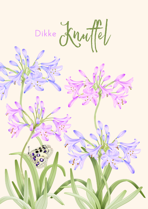 Wenskaarten - Wenskaart agapanthus bloemen dikke knuffel