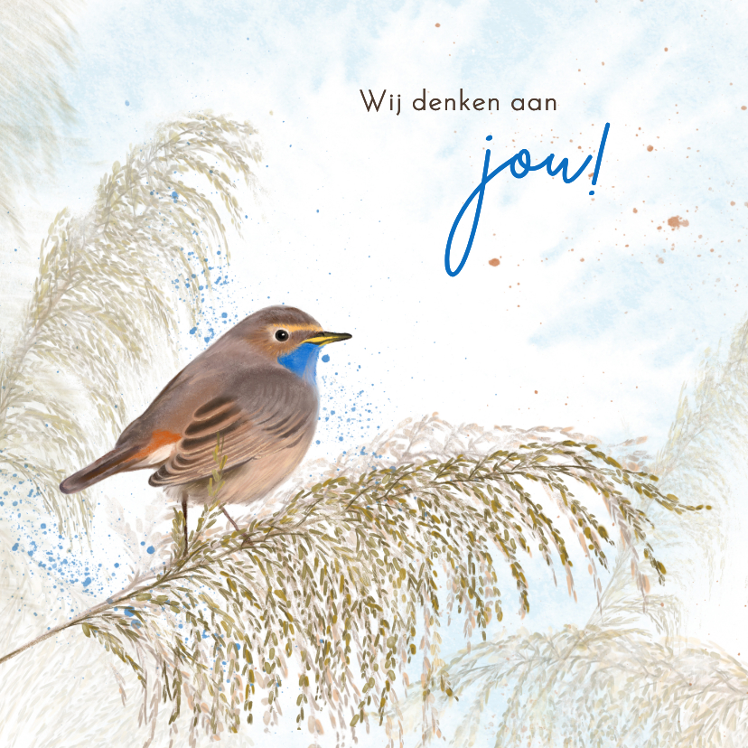 Wenskaarten - Wenskaart blauwborst op rietstengel