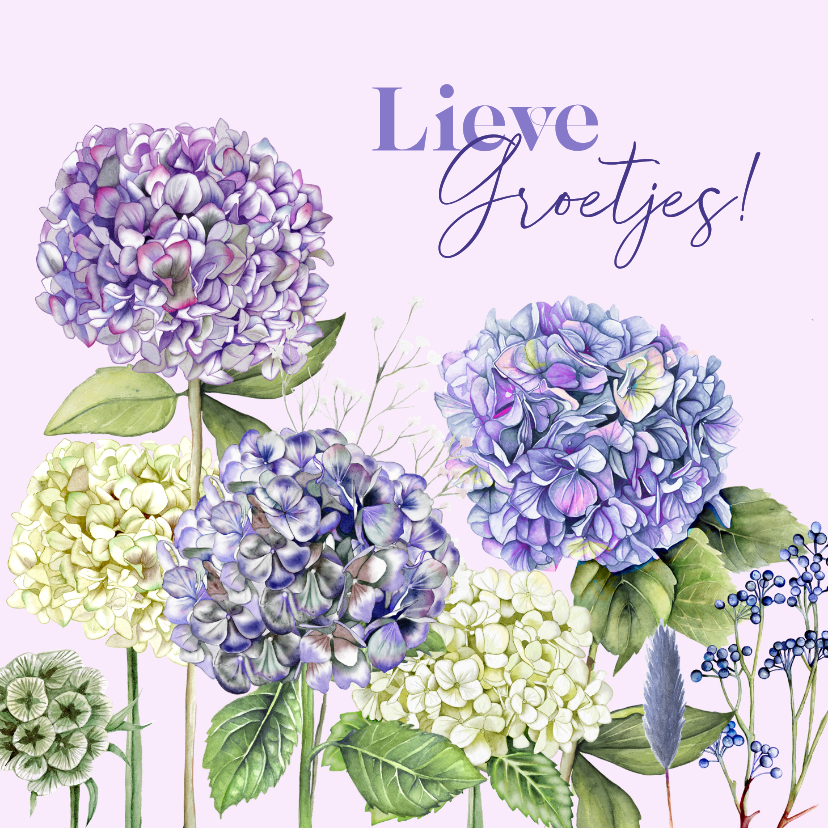 Wenskaarten - Wenskaart blauwe en witte hortensia's