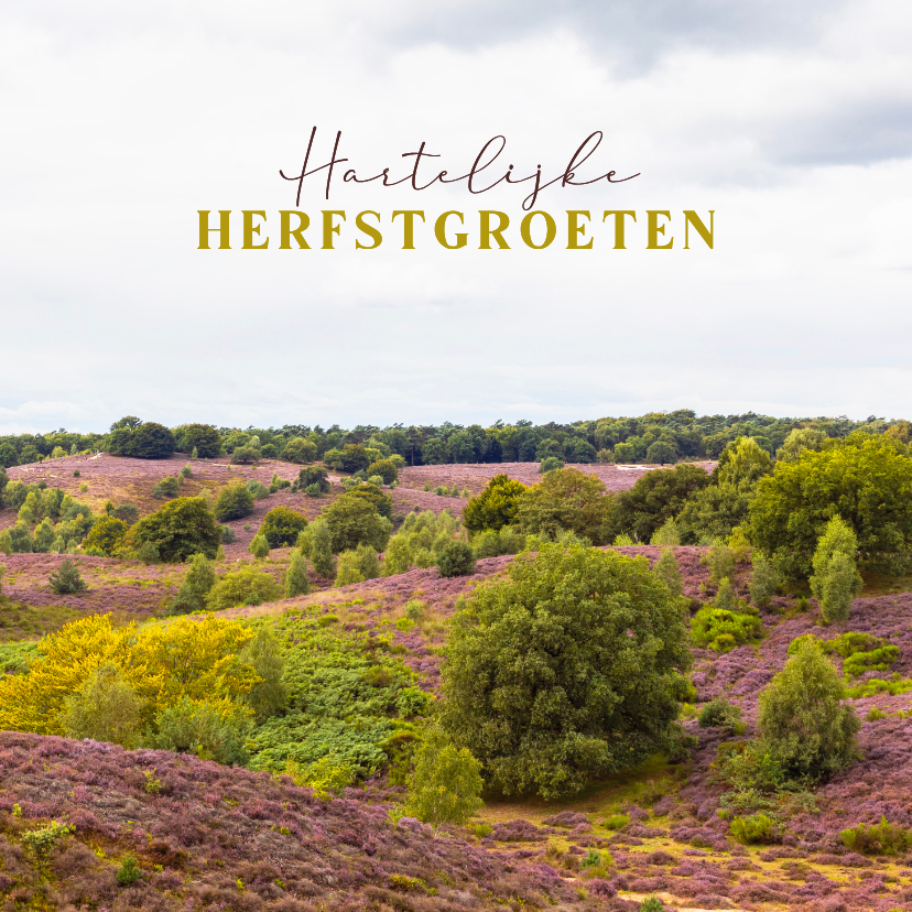 Wenskaarten - Wenskaart bloeiende heide