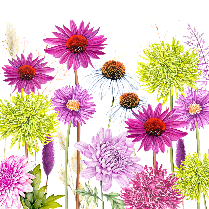 Wenskaarten - Wenskaart bloemen chrysant zonnehoed