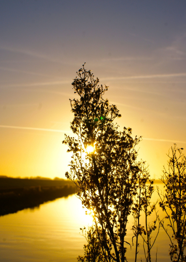 Wenskaarten - Wenskaart foto van zonsondergang